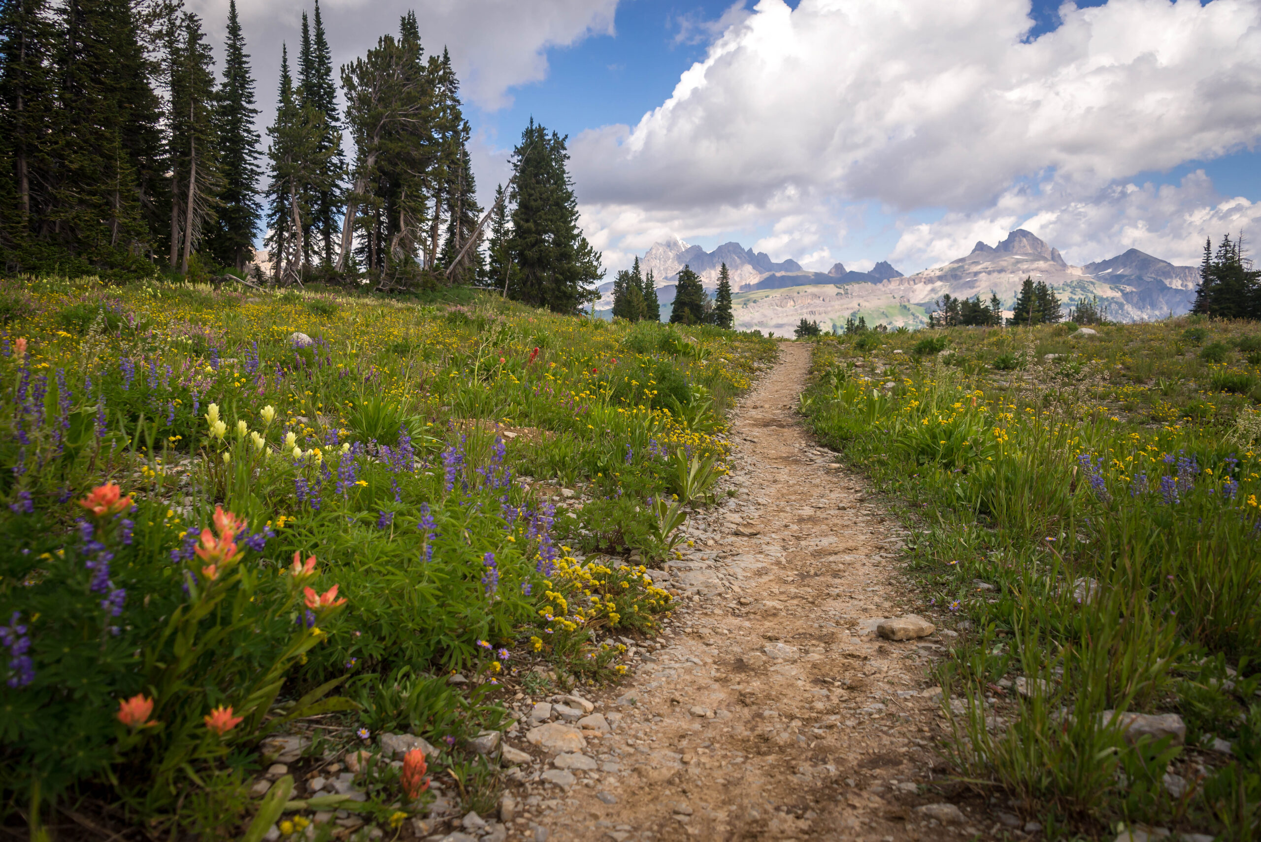 Hiking in Teton Valley, Idaho